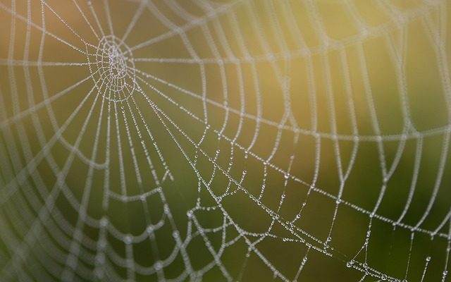 工业以太网组网下的PLC与OPC互通实践观察