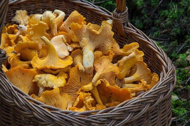 PLC与OPC互联下的压力传感器采集实践观察