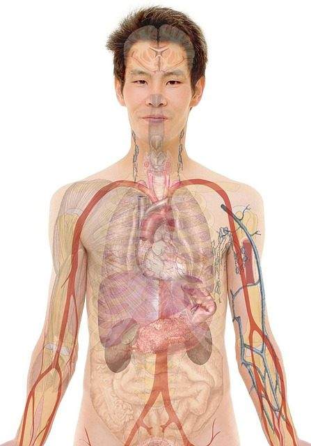 零基础入门PLC通过OPC实现MES系统数据对接指南